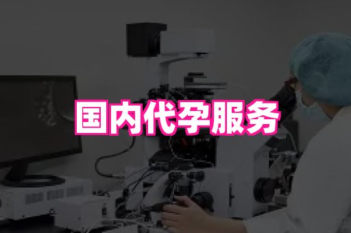 国际助孕网站 1