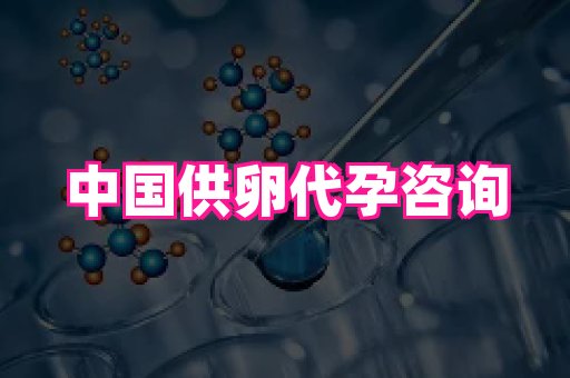国际助孕网站 2