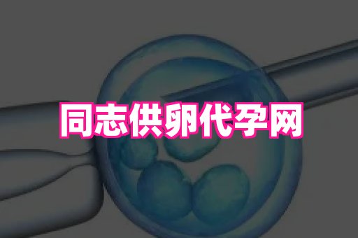 国际助孕网站 4